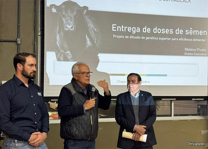 entrega-angus
