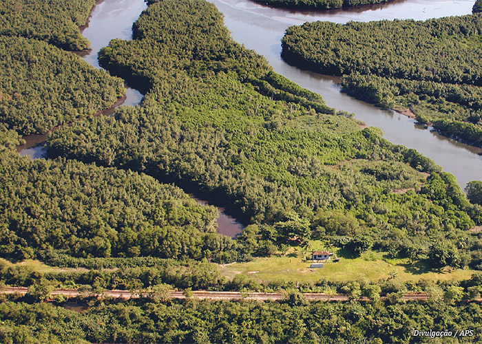 area-verde-porto-santos