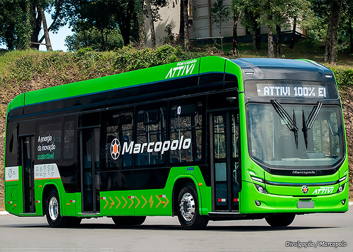 marcopolo-attivi-