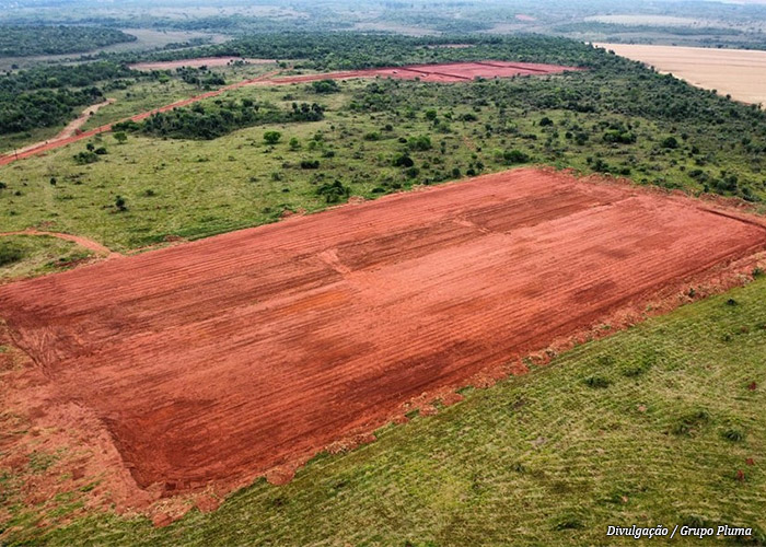 Grupo Pluma investe R$ 215 milhões em complexo avícola no Paraguai