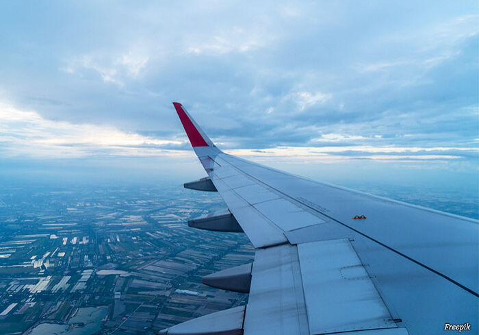 asa-de-aviao asa-de-aviao