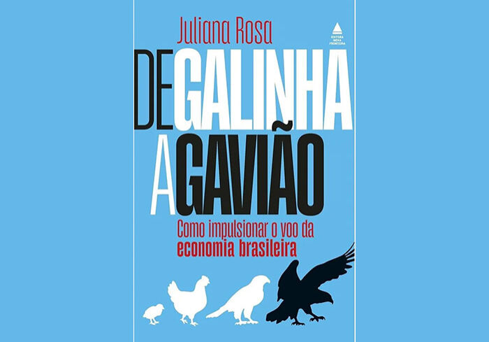 de-galinha-a-gaviao