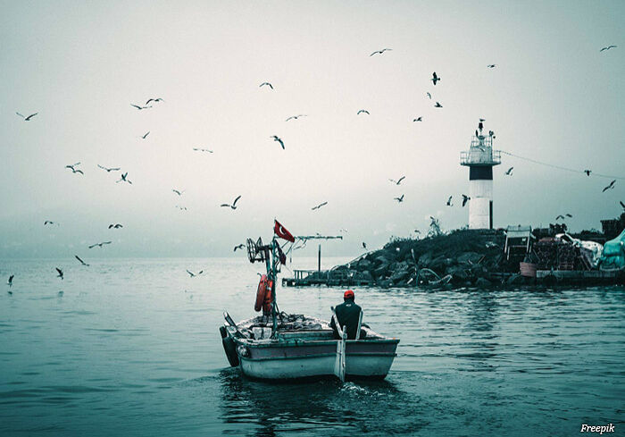 embarcacao-de-pesca