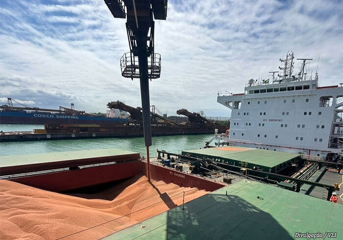 embarque-sorgo-vli