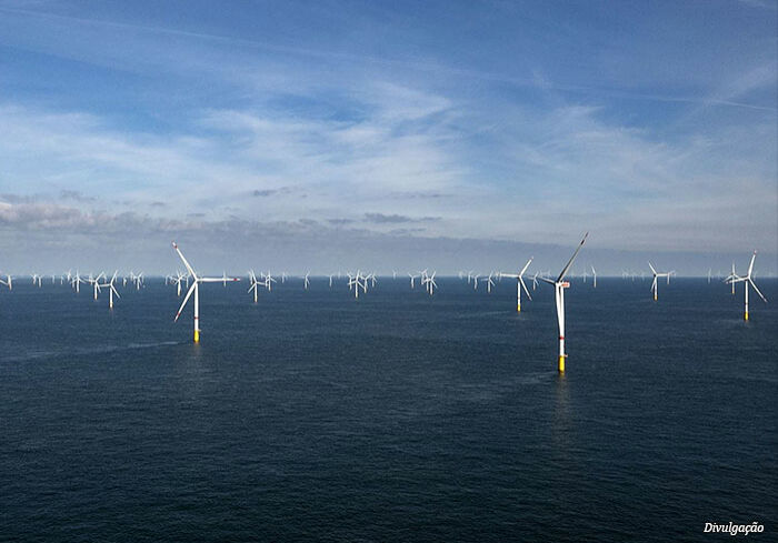 eolicas-offshore-prumo eolicas-offshore-prumo