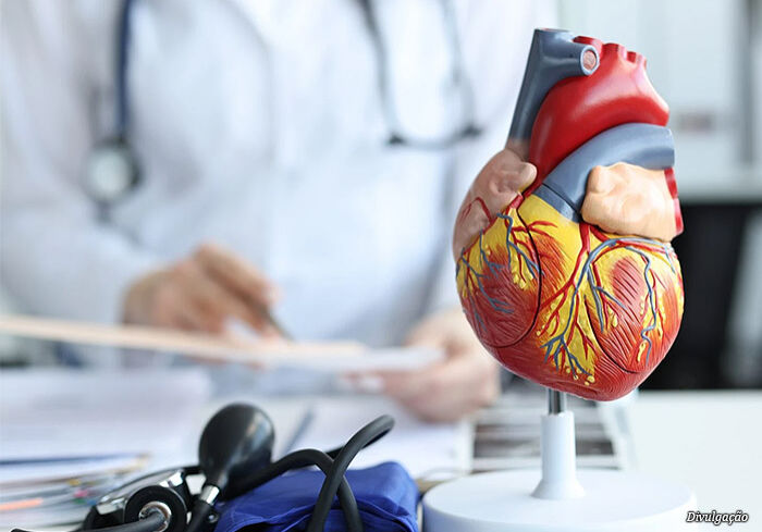estudo-coracao