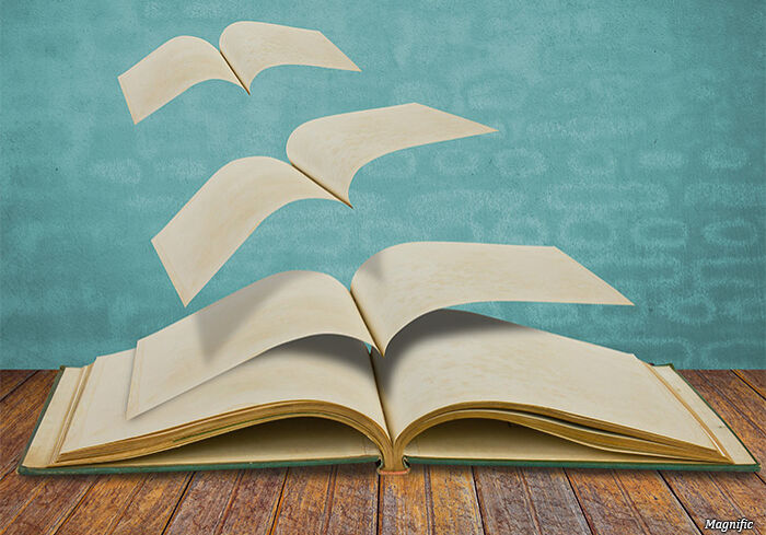 exportacoes-livros