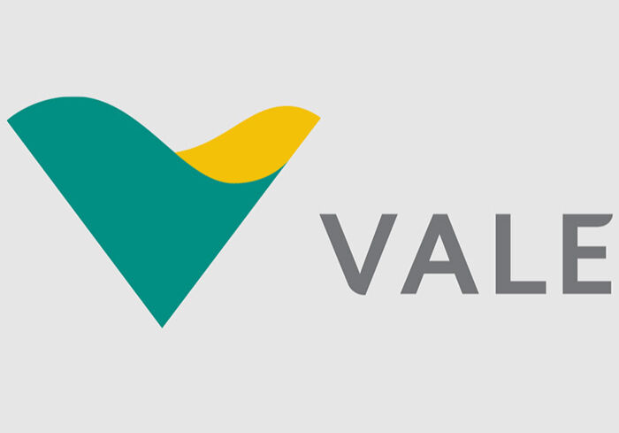 logo-vale