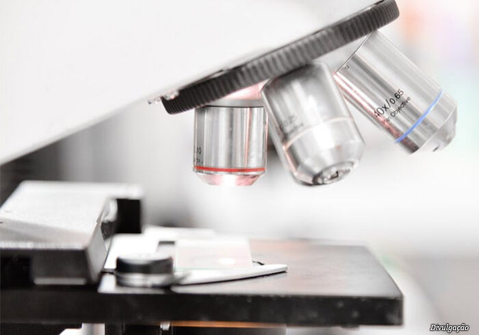 lundbeck-brasil lundbeck-brasil
