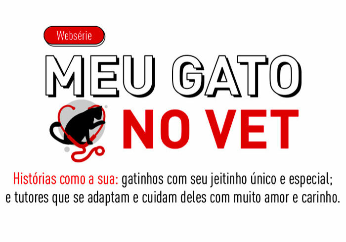 meu-gato-vet
