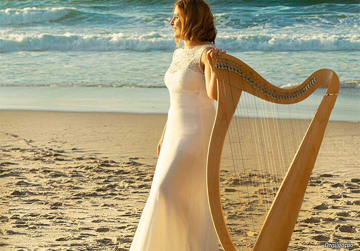rio-harp-festival- rio-harp-festival-