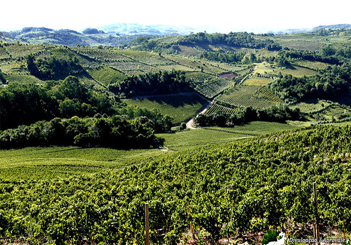 vale-dos-vinhedos